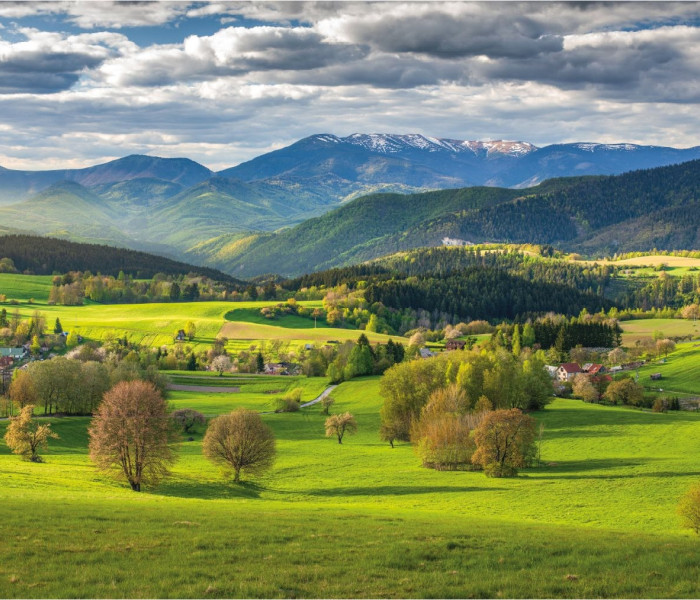 Puzzle - Dino - Źródło nad Povrazníkiem