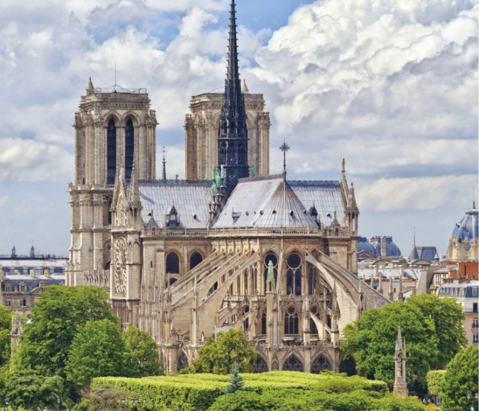 Puzzle - Dino - Katedra Notre Dame