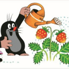 Puzzle - Dino - Kret