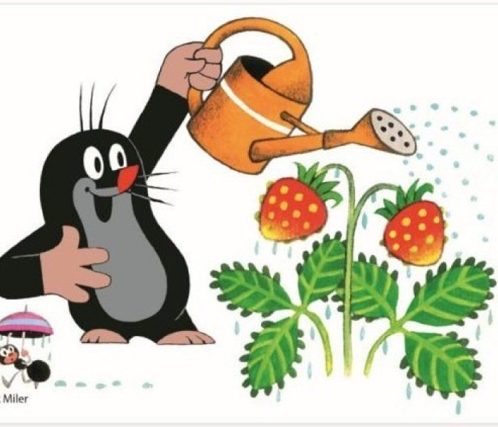 Puzzle - Dino - Kret