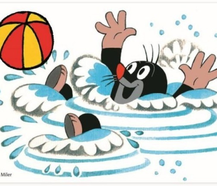 Puzzle - Dino - Kret