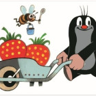 Puzzle - Dino - Kret