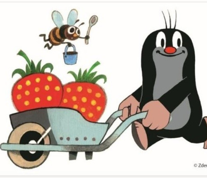 Puzzle - Dino - Kret