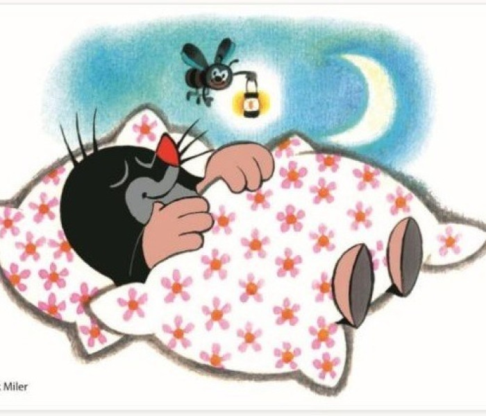 Puzzle - Dino - Kret