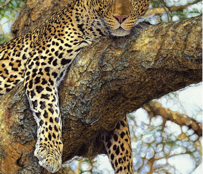 Puzzle - Dino - Lampart