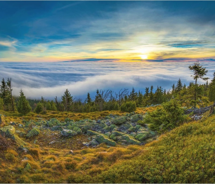 Puzzle - Dino - Widok z Jeszczedu