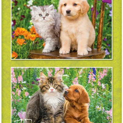 Pies i kot w ogrodzie