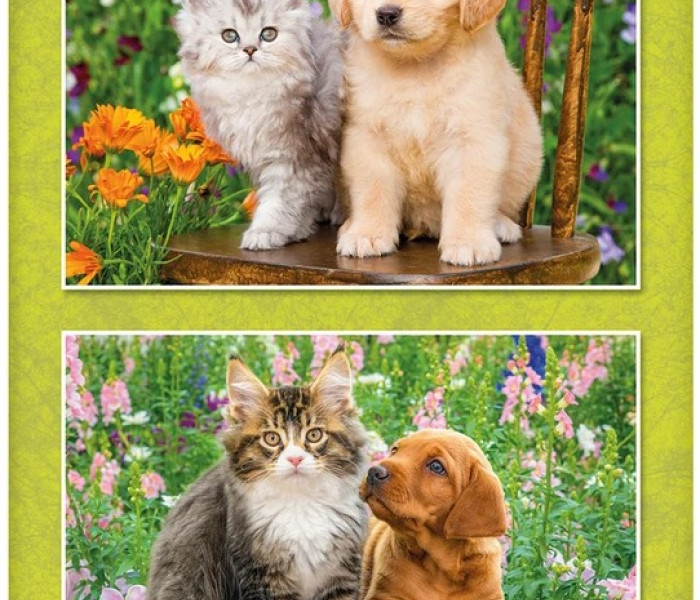 Puzzle - Dino - Pies i kot w ogrodzie