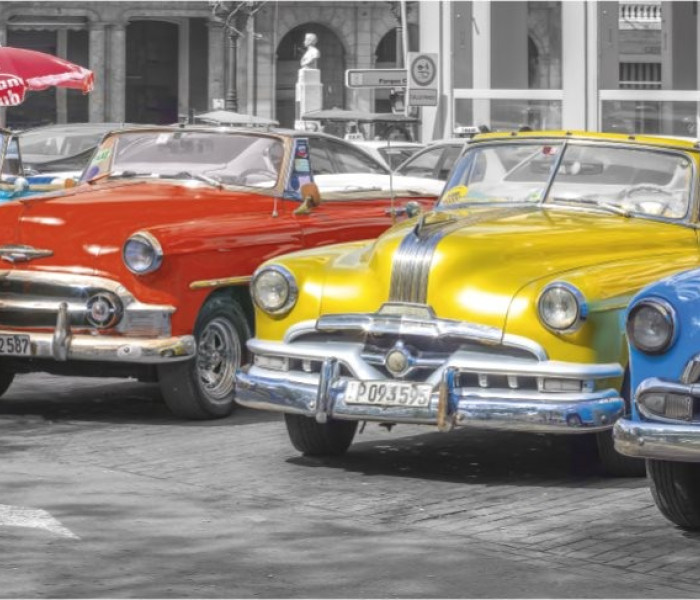 Puzzle - Dino - Spotkanie weteranów - Puzzle Panoramiczne