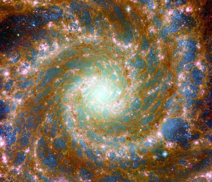 Puzzle - Enjoy - Galaktyka w całym spektrum