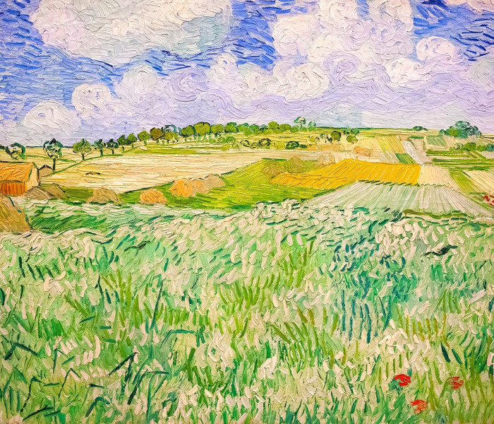 Puzzle - Enjoy - Krajobraz w Auvers