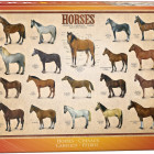 Puzzle - Eurographics - Konie