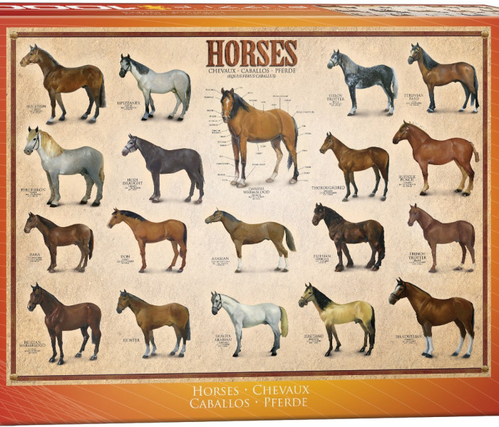 Puzzle - Eurographics - Konie