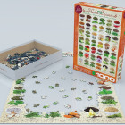 Puzzle - Eurographics - Zioła i przyprawy