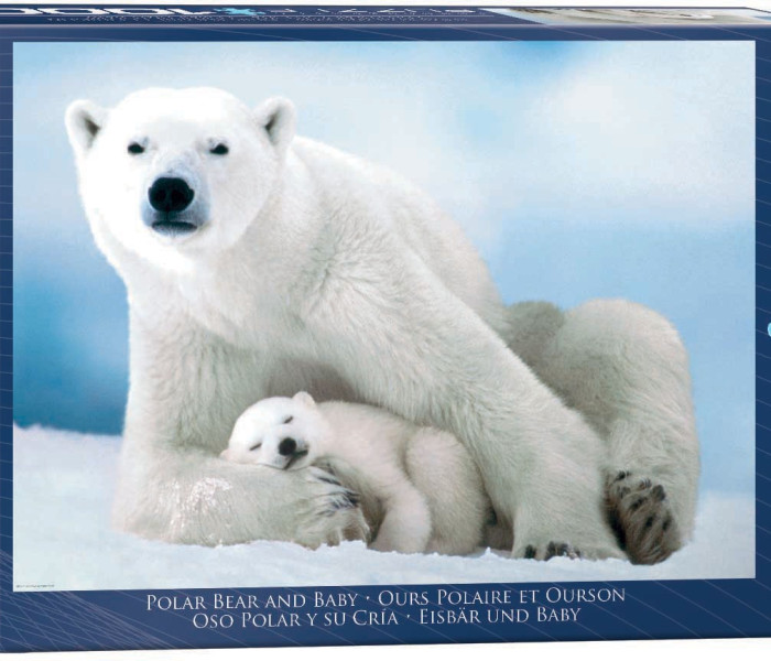 Puzzle - Eurographics - Niedźwiedź polarny