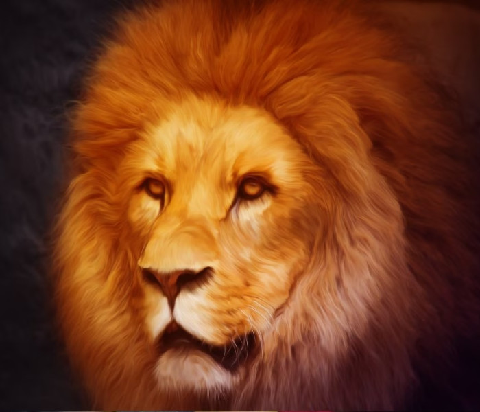 Puzzle - Grafika - Lew