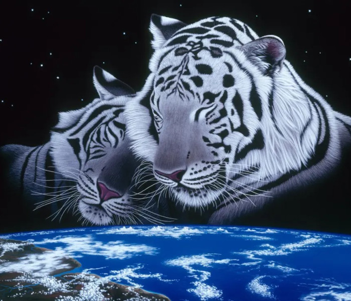 Puzzle - Grafika - Śpij dobrze