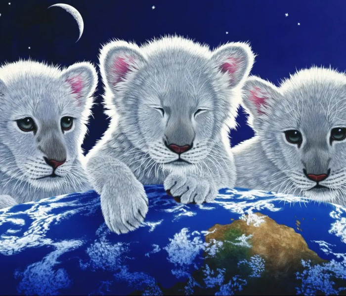 Puzzle - Grafika - Tajemnica i nadzieja