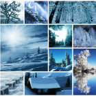 Puzzle - Grafika - Zimowy kolaż