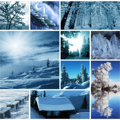 Zimowy kolaż