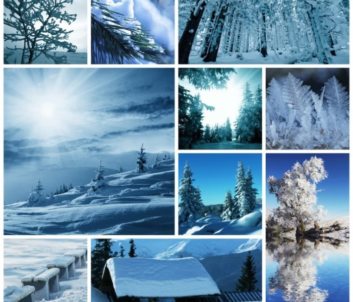 Puzzle - Grafika - Zimowy kolaż