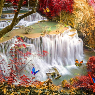 Wodospad w głębokim lesie