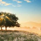 Puzzle - Heye - Gra świateł - Puzzle Panoramiczne