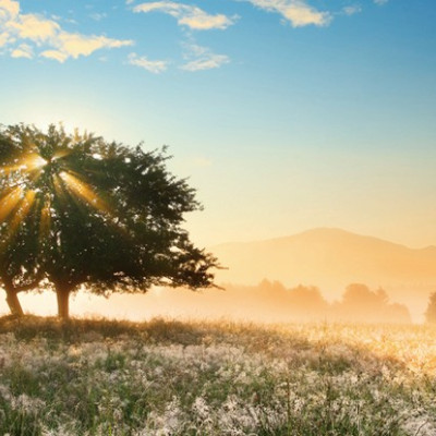 Gra świateł - Puzzle Panoramiczne 