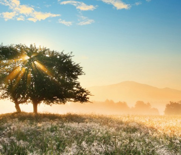 Puzzle - Heye - Gra świateł - Puzzle Panoramiczne