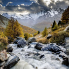 Puzzle - Heye - Górski strumień