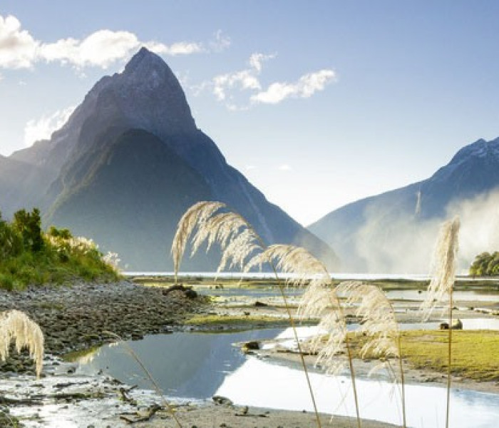 Puzzle - Heye - Zatoka Milforda - Puzzle Panoramiczne