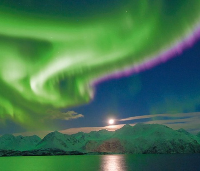 Puzzle - Heye - Zorza polarna - Puzzle Panoramiczne