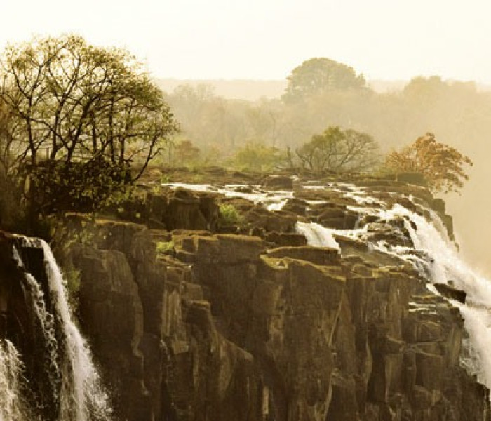 Puzzle - Heye - Słoń - Puzzle Panoramiczne