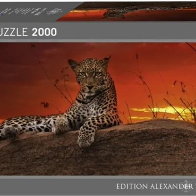 Świt - Puzzle Panoramiczne 