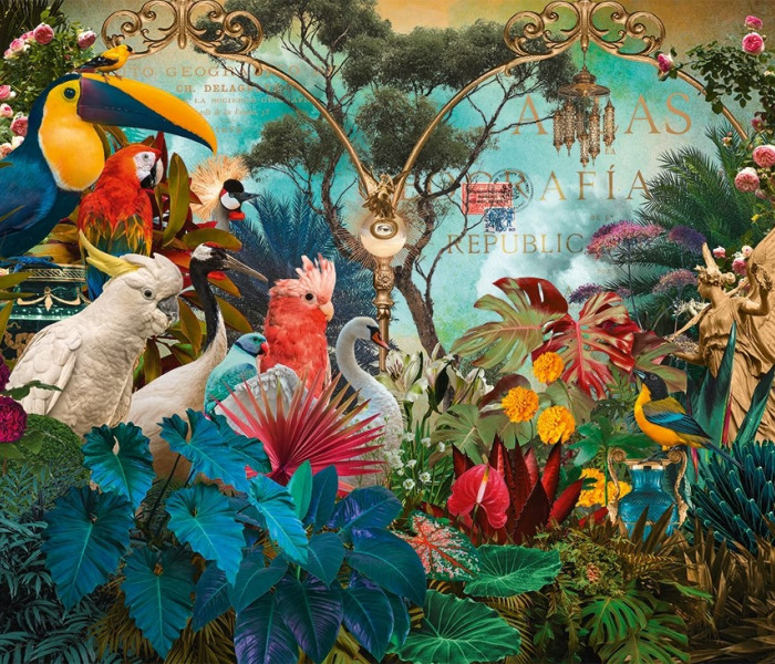 Puzzle - Heye - Różnorodność ptaków