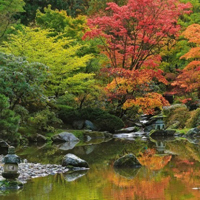 Refleksja zen - Puzzle Panoramiczne 