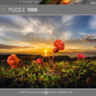 Puzzle - Heye - Maliny moroszki