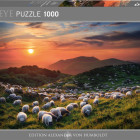 Puzzle - Heye - Owce i wulkany