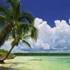 Puzzle - Heye - Raj palmowy - Puzzle Panoramiczne