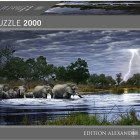 Puzzle - Heye - Stado słoni - Puzzle Panoramiczne