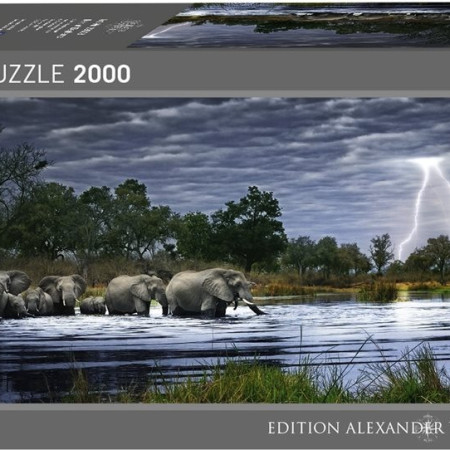 Stado słoni - Puzzle Panoramiczne 