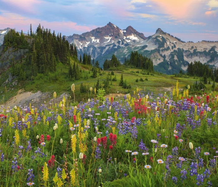 Puzzle - Heye - Góry Tatoosh