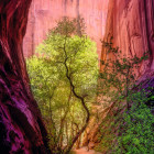 Puzzle - Heye - Śpiewający Kanion