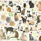 Puzzle - Jumbo - Koty