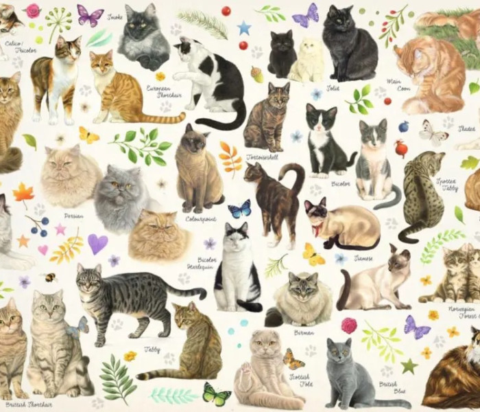 Puzzle - Jumbo - Koty