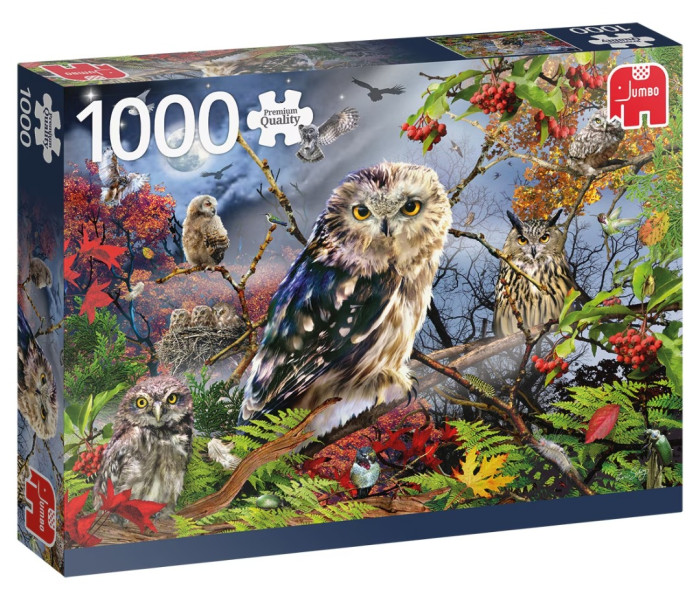 Puzzle - Jumbo - Sowy w świetle księżyca