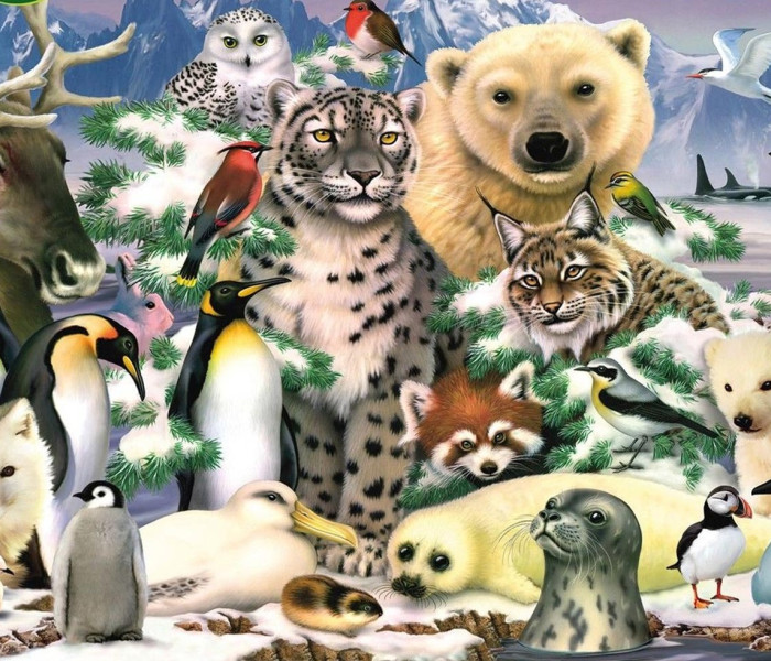 Puzzle - King - Polarne zwierzęta