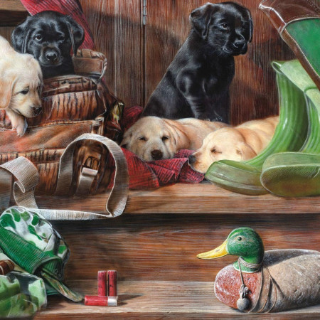 Szczenięta na schodach