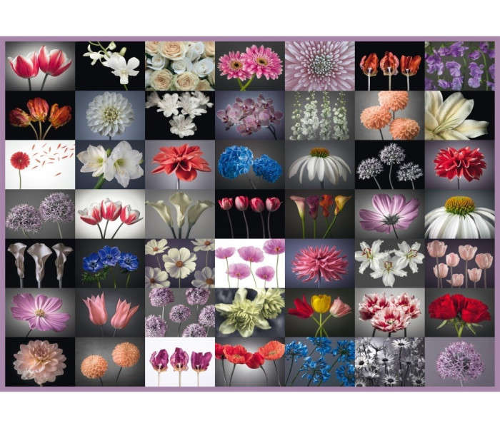 Puzzle - Schmidt - Kwiatowa kartka z życzeniami