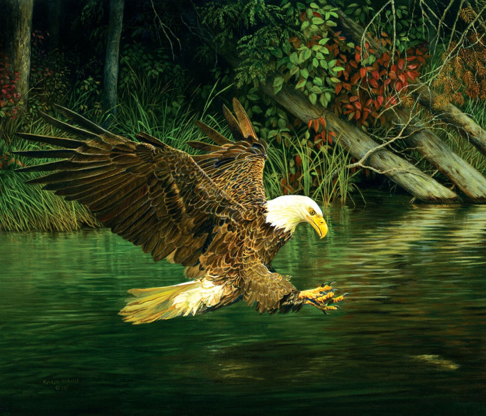 Puzzle - Sunsout - Orzeł na polowaniu